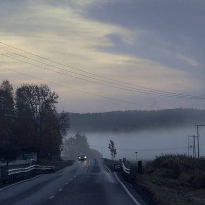 Out at Dawn for Hunting