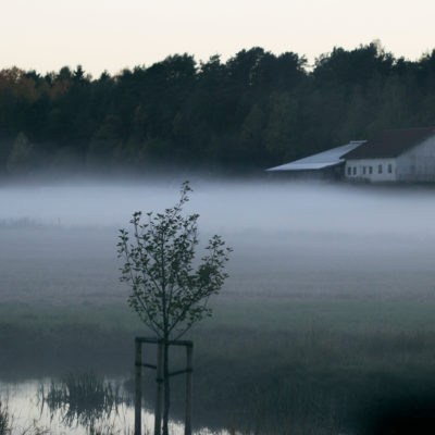 Morning Humidity in the Norwegian Land