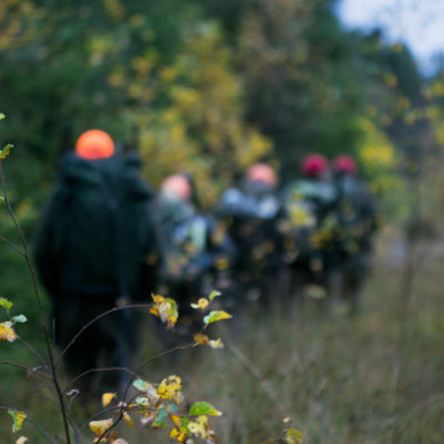 Hunters Going towards the Stands