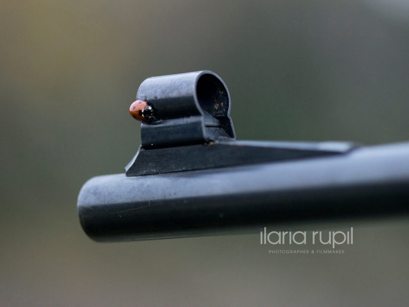 Shotgun Barrels