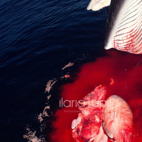 Entrails