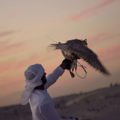 Sunset and Desert