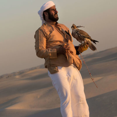 The Bedouin Falconer