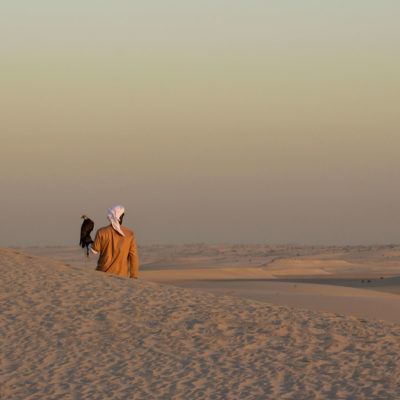 The Man, the Hawk and the Desert