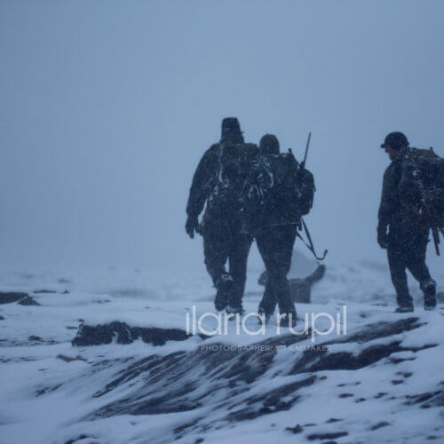 Snow Storm when Hunting upon Finse
