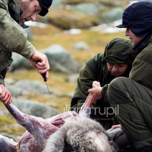 Reindeer Hunters Butchering a Prey