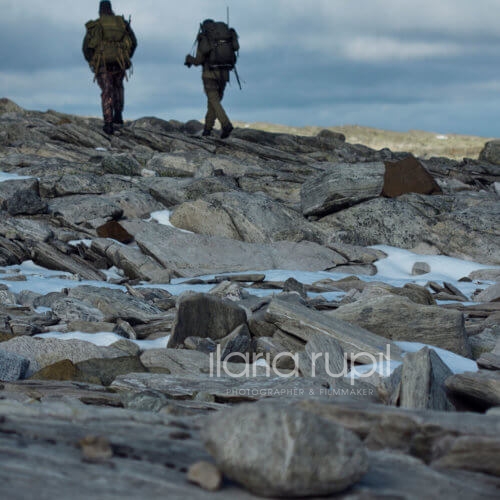 Rock Deserts in the Hardanger Glacier Plateau
