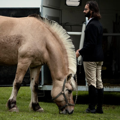 Fjord Horse and Horseman