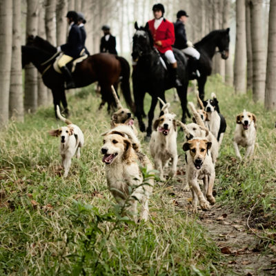 Hunters in an Emilian Poplar Grove with their Pack