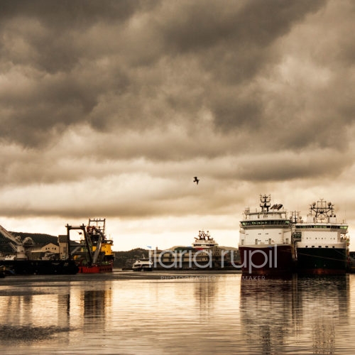 Cloudburst in the Harbour