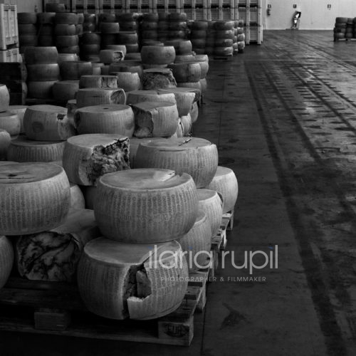 Interiors of the Cheese Factory “San Paolo” in Rovereto sulla Secchia, Hit by the Shock